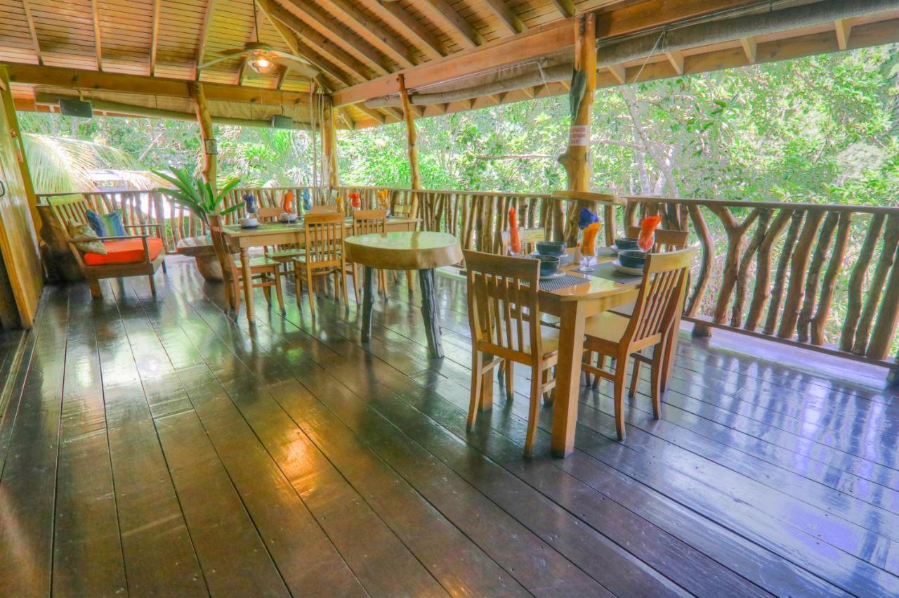 内格里尔Zimbali Culinary Retreats别墅 外观 照片