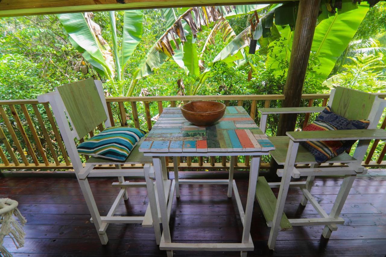 内格里尔Zimbali Culinary Retreats别墅 外观 照片