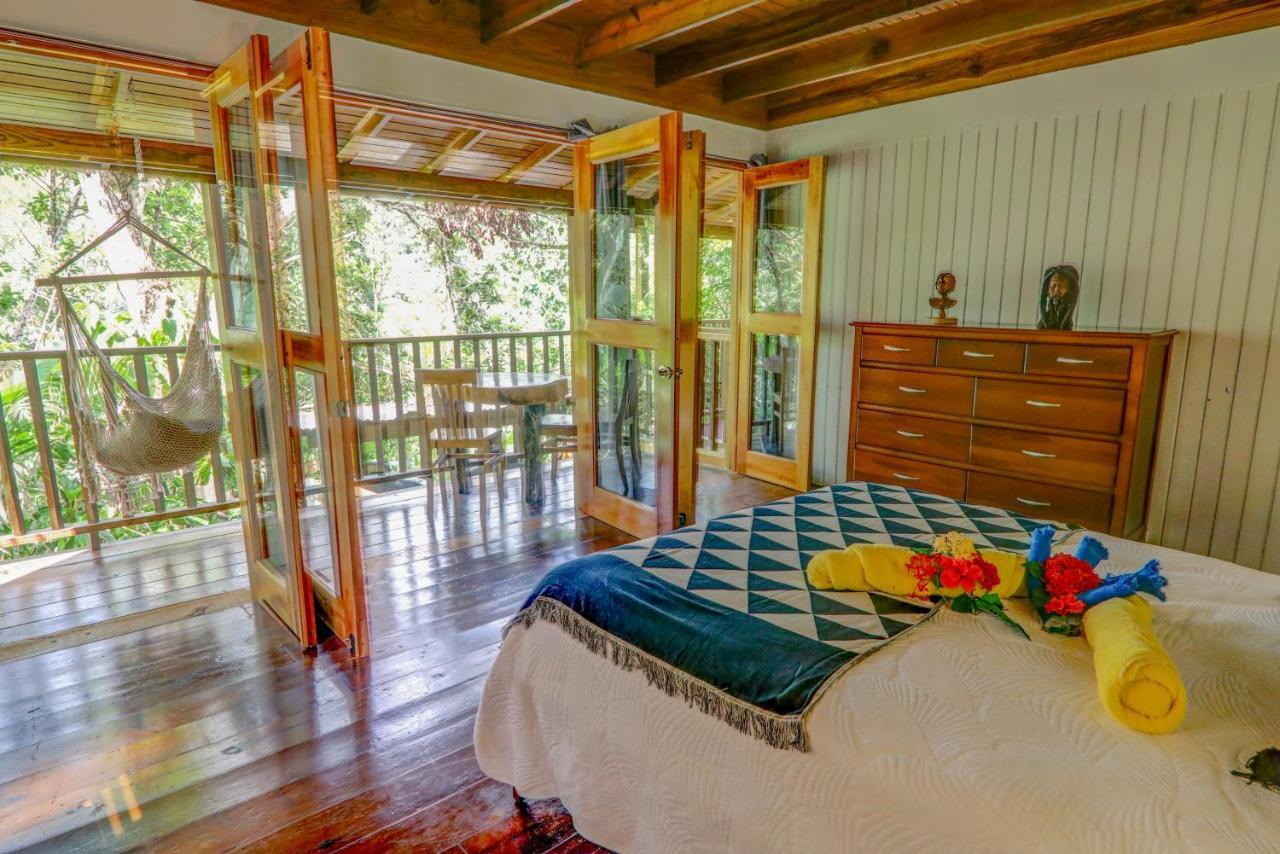 内格里尔Zimbali Culinary Retreats别墅 外观 照片