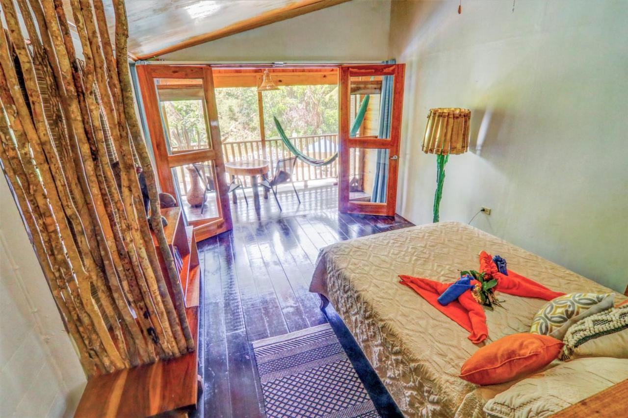 内格里尔Zimbali Culinary Retreats别墅 外观 照片