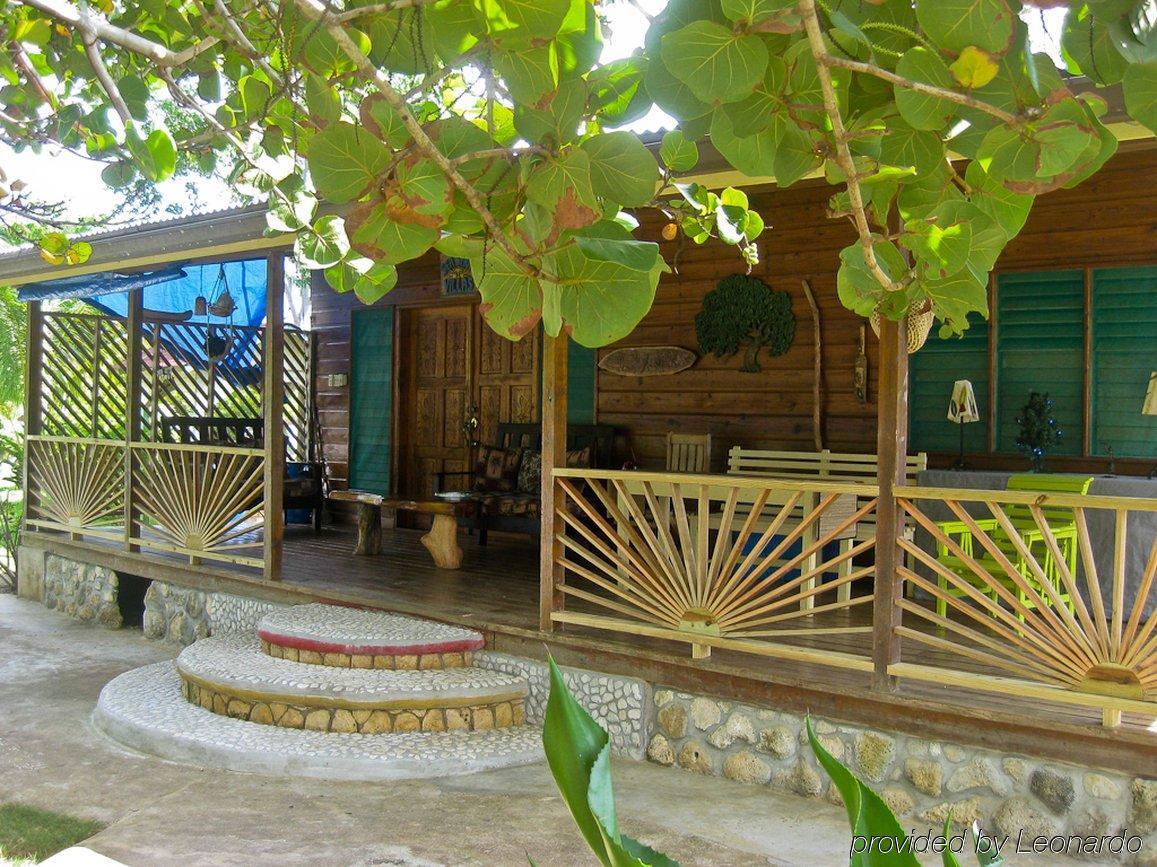 内格里尔Zimbali Culinary Retreats别墅 外观 照片