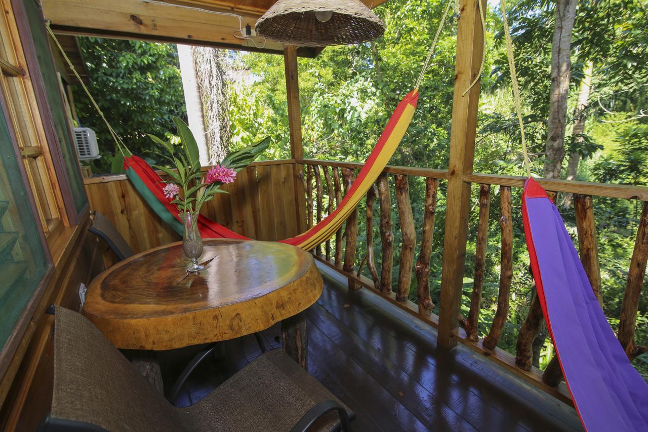 内格里尔Zimbali Culinary Retreats别墅 外观 照片