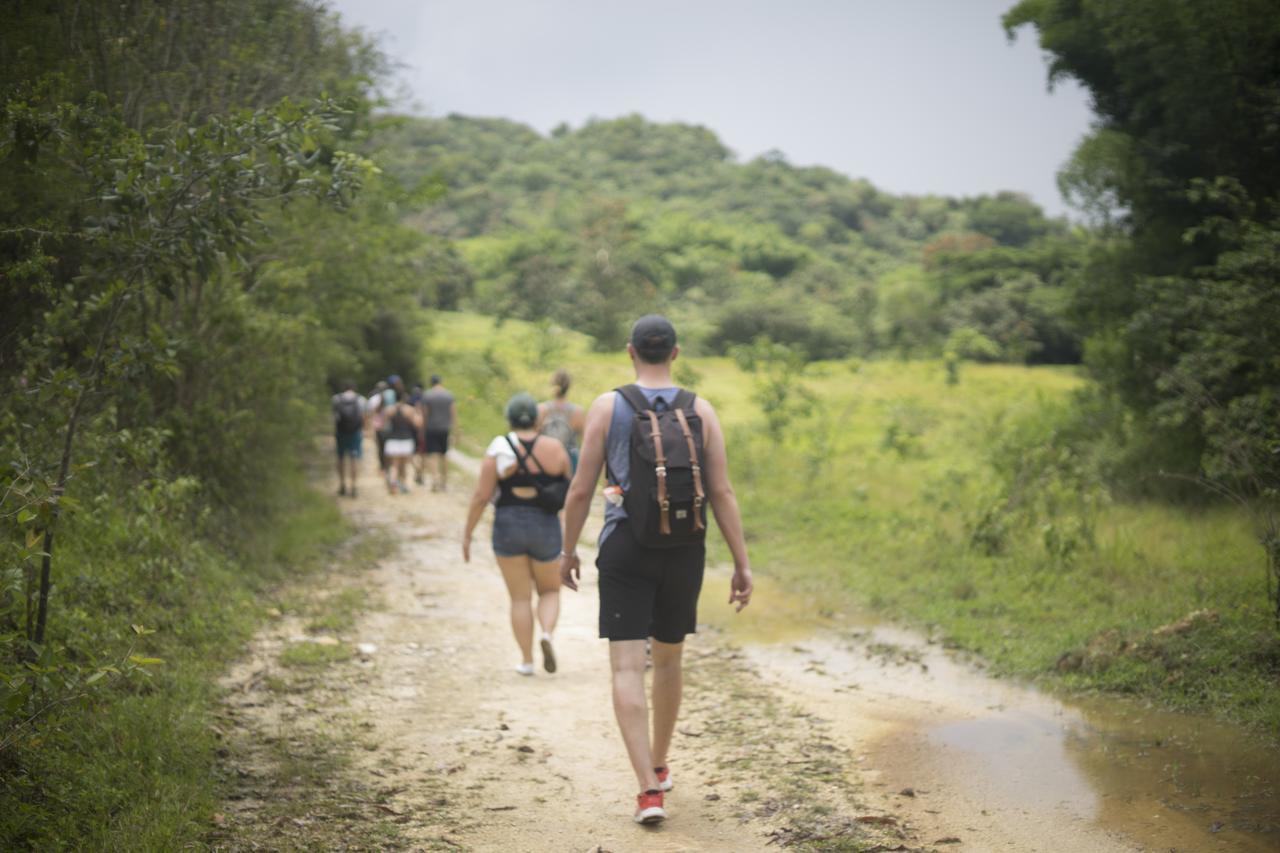 内格里尔Zimbali Culinary Retreats别墅 外观 照片