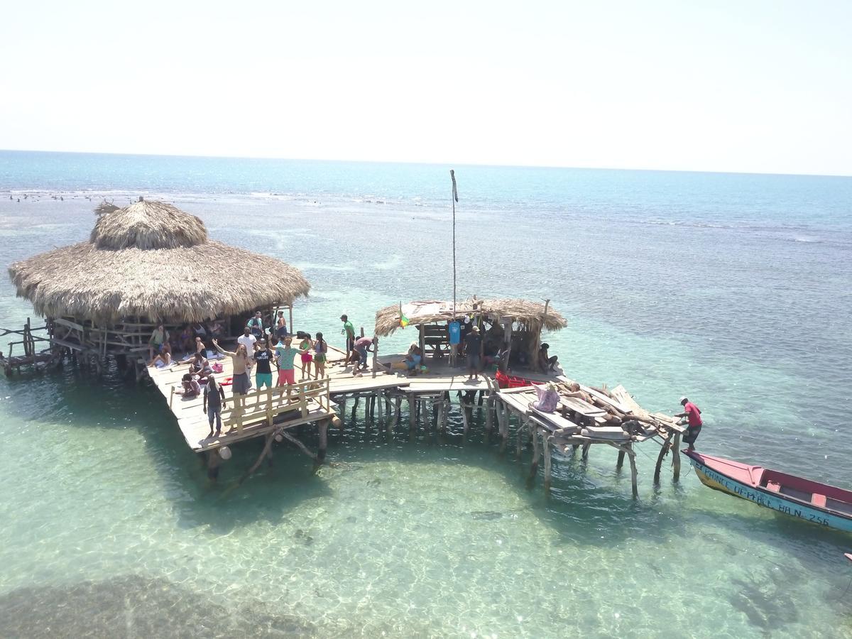内格里尔Zimbali Culinary Retreats别墅 外观 照片