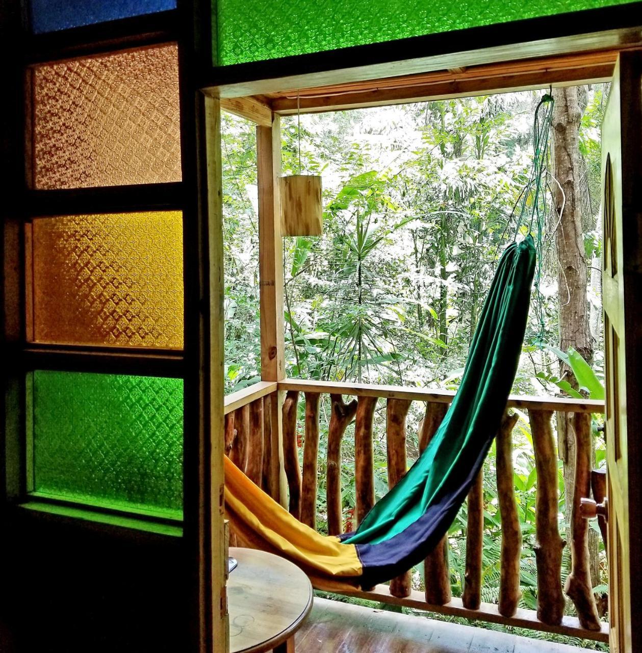 内格里尔Zimbali Culinary Retreats别墅 外观 照片
