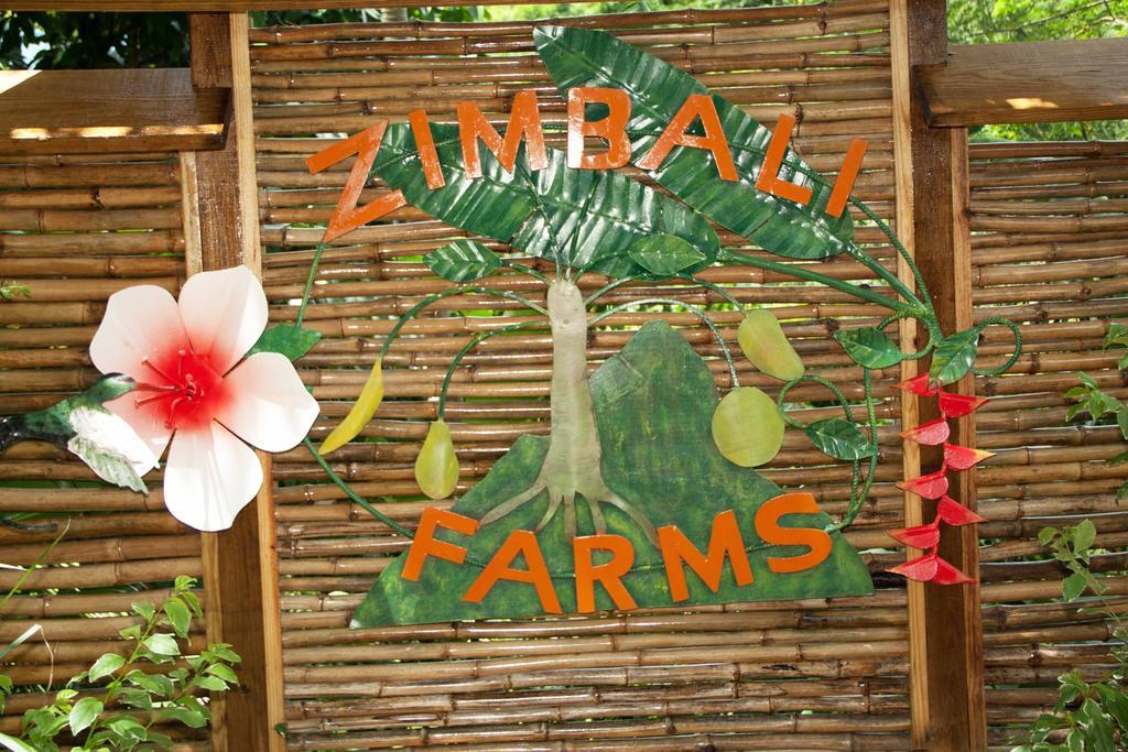 内格里尔Zimbali Culinary Retreats别墅 外观 照片