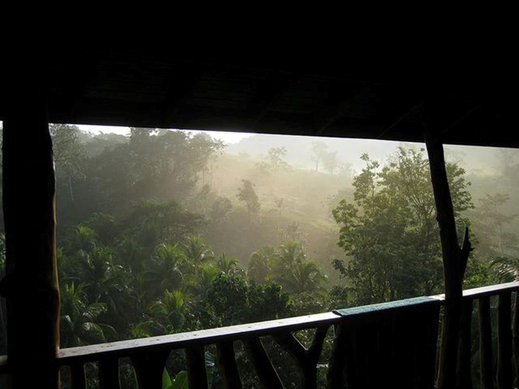 内格里尔Zimbali Culinary Retreats别墅 外观 照片
