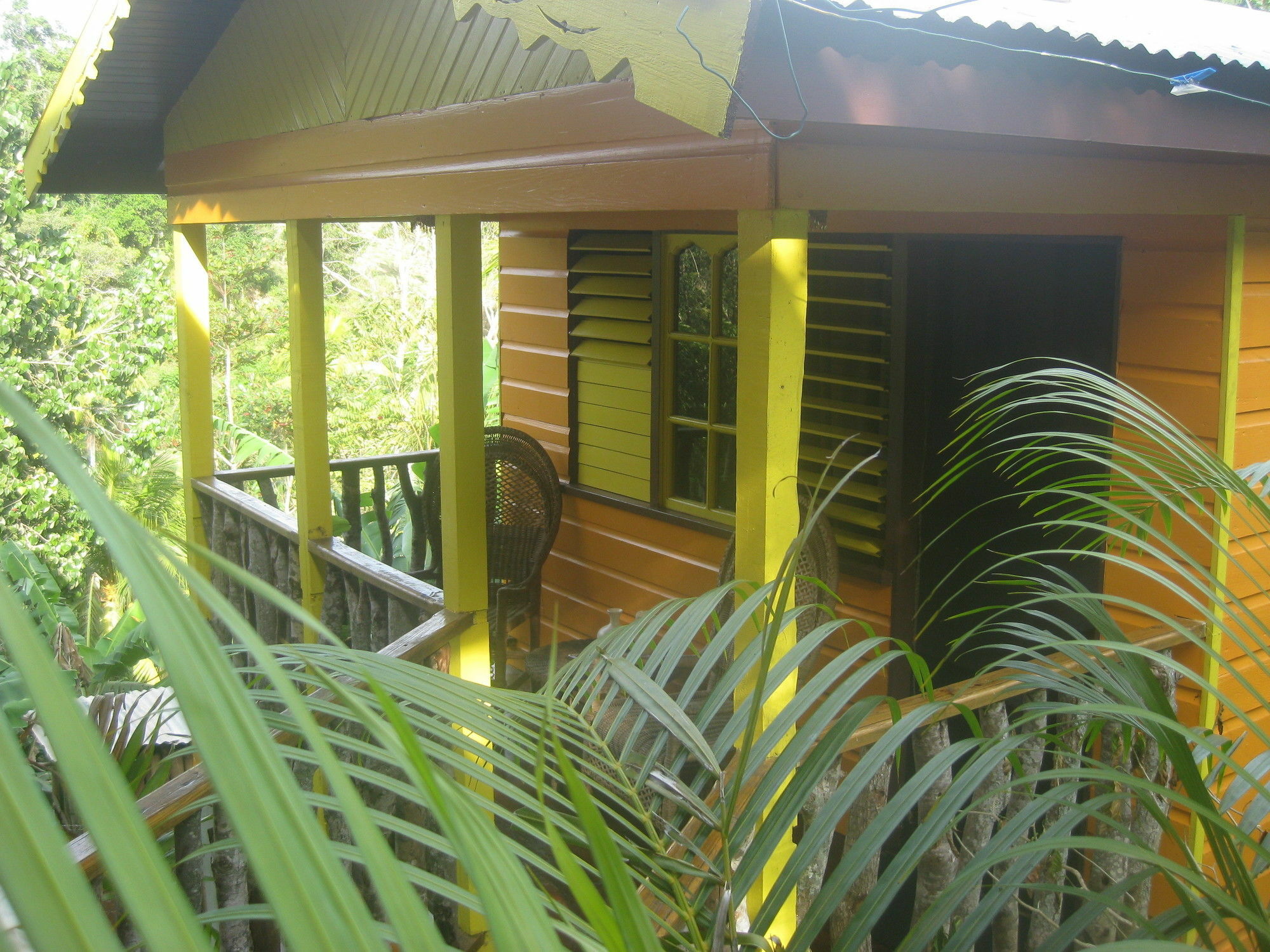 内格里尔Zimbali Culinary Retreats别墅 外观 照片