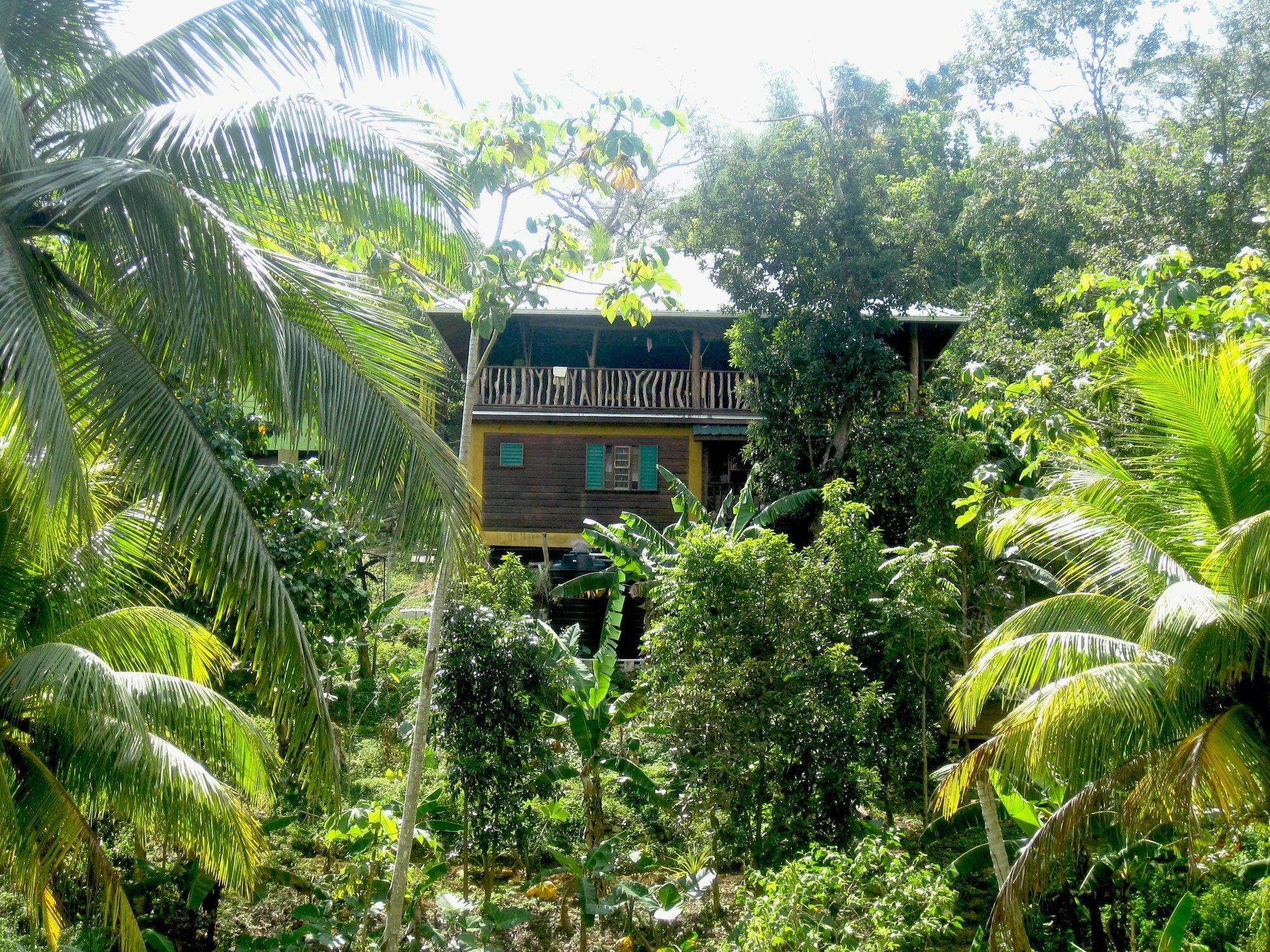 内格里尔Zimbali Culinary Retreats别墅 外观 照片