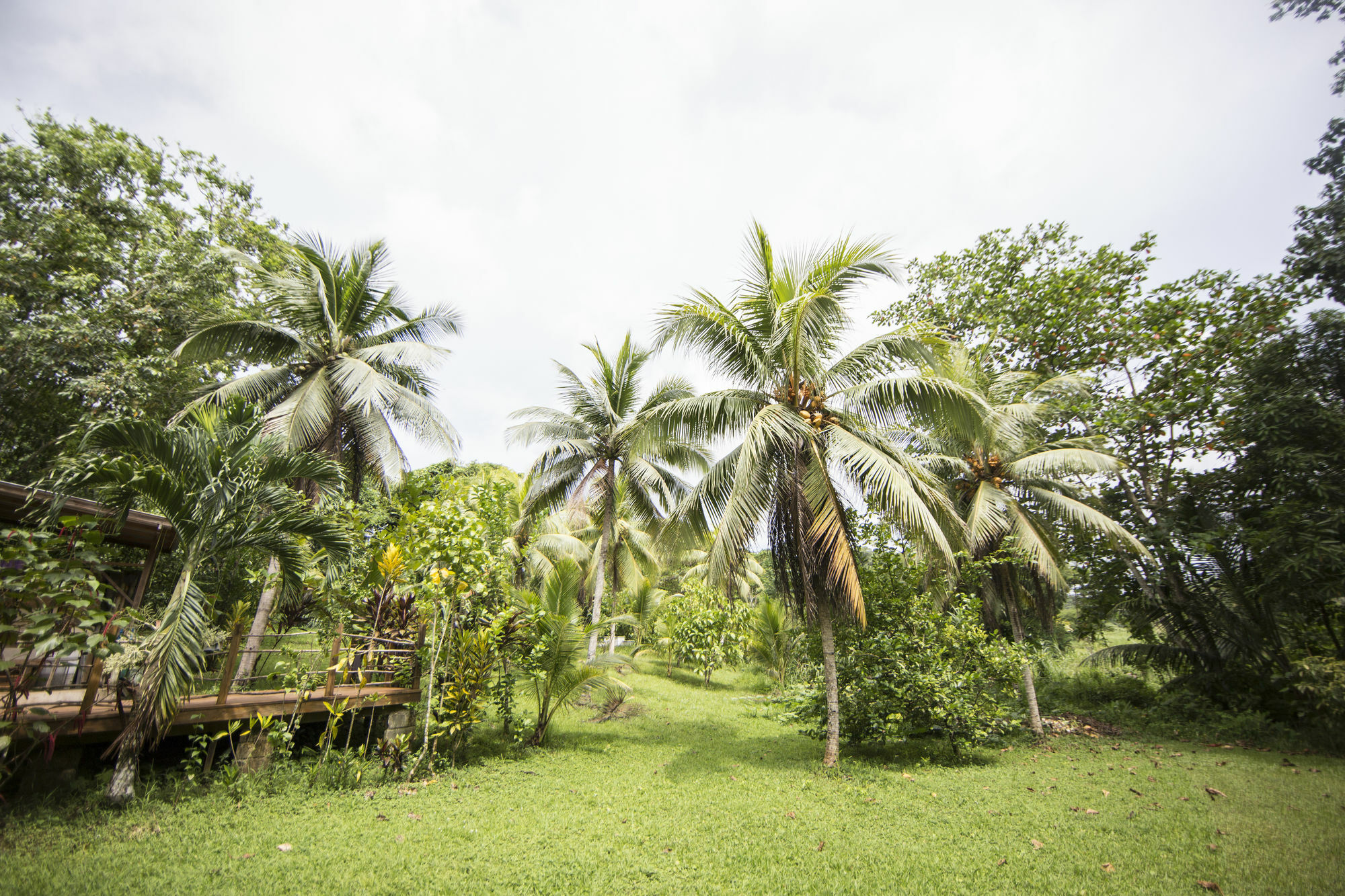内格里尔Zimbali Culinary Retreats别墅 外观 照片