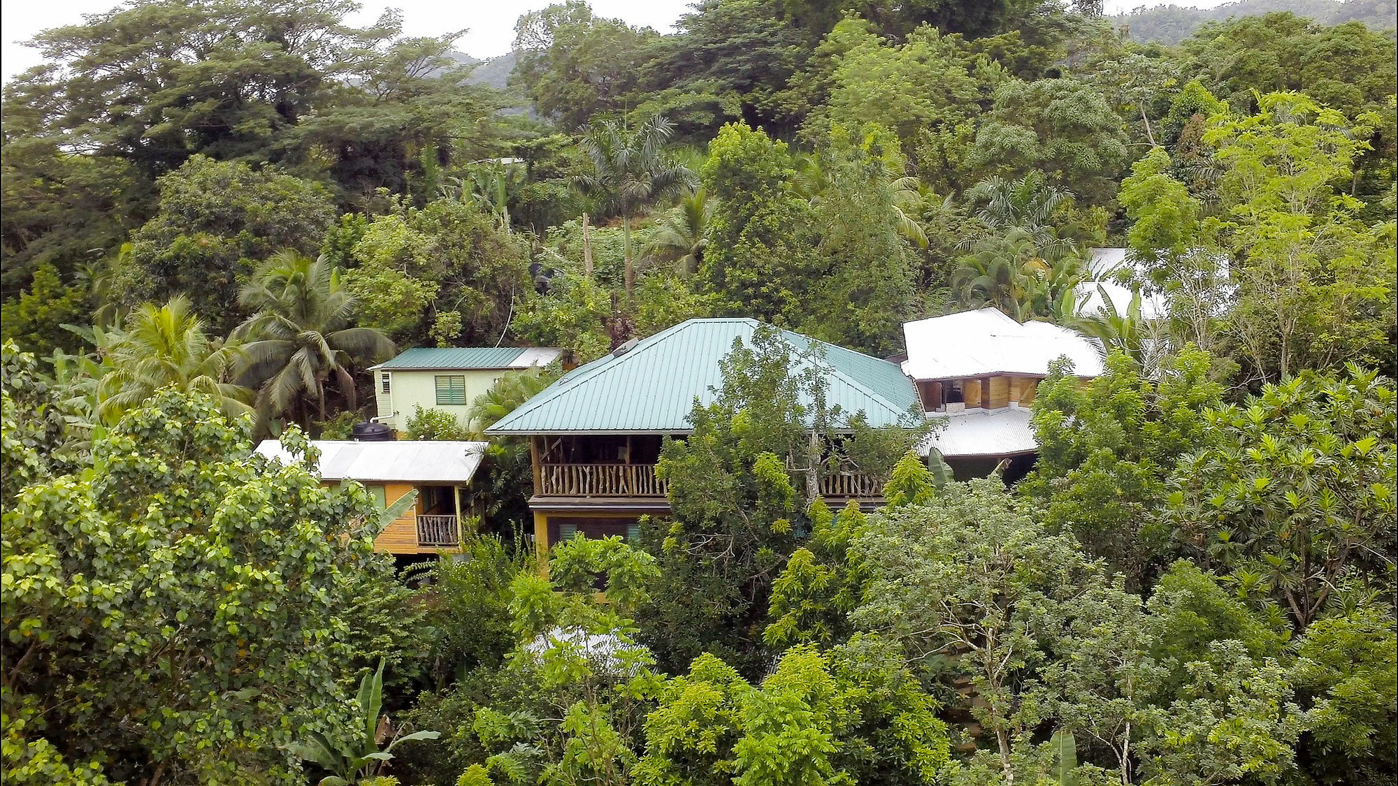 内格里尔Zimbali Culinary Retreats别墅 外观 照片